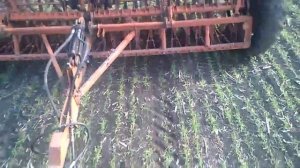 Подкормка озимой пшеницы с помощью сеялки СЗ-3.6