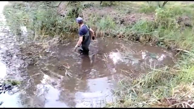 Удаление тростника вручную из естественного пруда смотреть онлайн