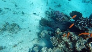 Шарм Эль Шейх 2025