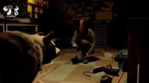 WolfBlood | Из рода волков | 1-сезон 1-серия