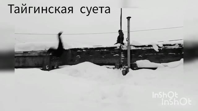 Опа Опа Санечка учится крутить -ВИНТ-🔥😎 смотреть онлайн