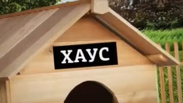 Самые шокирующие гипотезы (По прозвищу зверь) 24.01.2017 смотреть онлайн