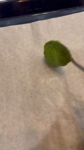 Легкий красивый праздничный рулет! Гости будут в восторге. #ппрецепты #домашняяеда смотреть онлайн