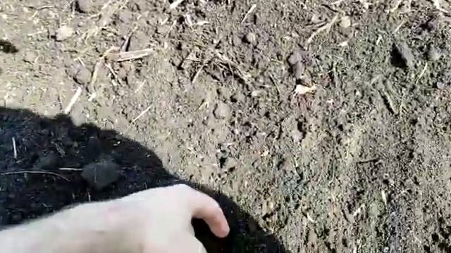 Посевной комплекс Poettinger Terrasem C6 смотреть онлайн