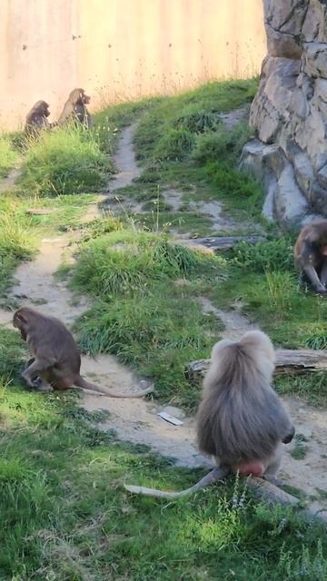 California Zoo