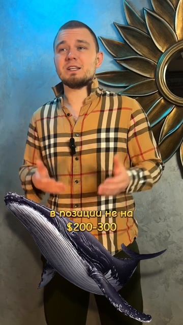 «Животные» в крипте и их значения. смотреть онлайн