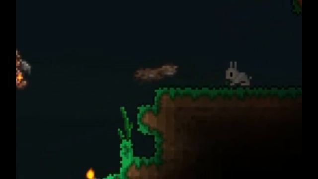 ДИКИЙ ПРАНК НАД БЕЛКОЙ КОТОРЫЙ ВЫШЕЛ ИЗ ПОД КОНТРОЛЯ!!!!!!!!!!!!!!!!!ЗАЙЦА ЖАЛКО!!!!ШОК!! смотреть онлайн