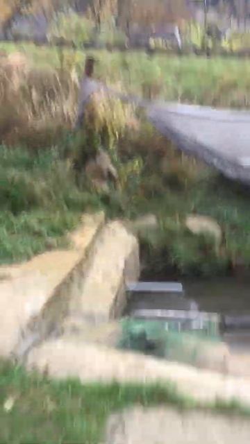 Рибалка в Карпатах !
Ловим форель! смотреть онлайн