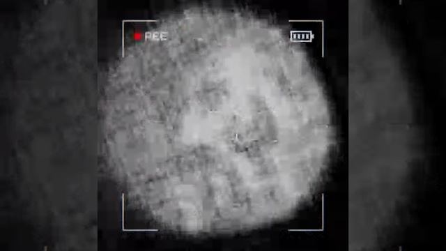 content_warning.exe смотреть онлайн