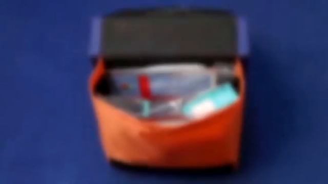 Вводный инструктаж по Го и ЧС смотреть онлайн