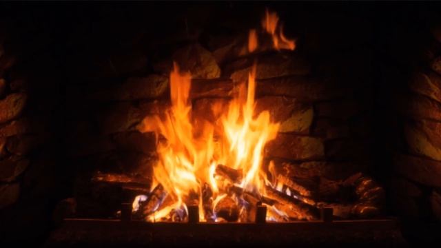 Отрывок из книги П.Коэльо "Вероника решает умереть." смотреть онлайн