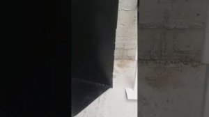 Станки для опороса!Подробное описание,размеры,чертёж.