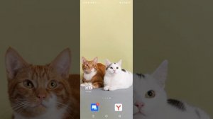 песня из неизвестных слов.