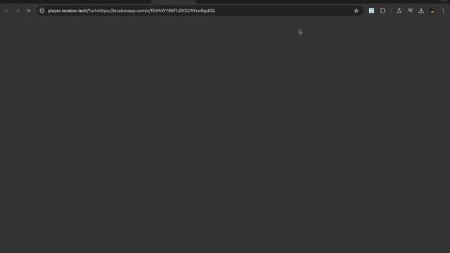 Terabox Video Player Chrome Extension - Free Download it смотреть онлайн
