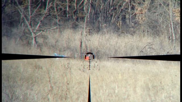 Vortex Strike Eagle 1-8x24 FFP. Небольшой обзор и чуть отработал гонг 🎯. #vortex #оружие #gun смотреть онлайн