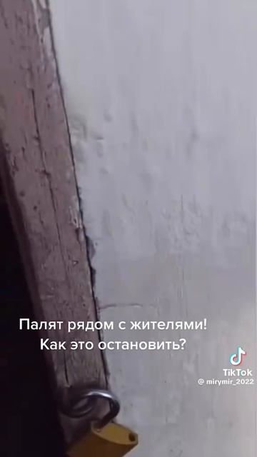 1000014091.mp4 смотреть онлайн