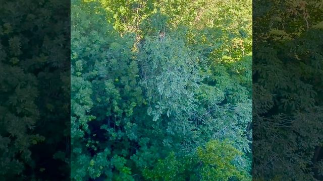 Lo Sai Perché è Importante Riciclare La Carta?