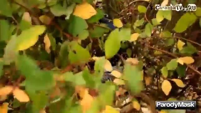 Чудаки Русская пародия Jackass in Russia Funny Videos Part 5 смотреть онлайн