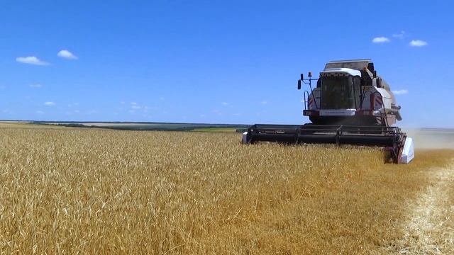 Самая жаркая пора. Уборка в ООО «УРОЖАЙ – 92» смотреть онлайн