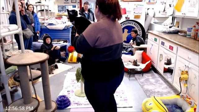 Adoption of Patcheye and Mr Whiskers 12-28-2022 -- Friends of Felines Rescue Center (FFRC) смотреть онлайн