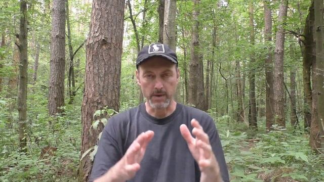 Введение 2: Ясновидение. Раскрытие третьего глаза. Согласованность речи и энергоструктуры. смотреть онлайн