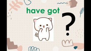 Глагол Have got / Has got в утвердительной форме!