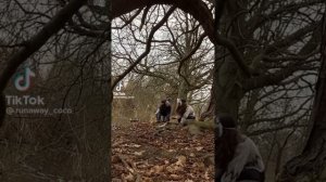 сборник видео из тик-тока квадробика🤍                 приятного просмотра💙