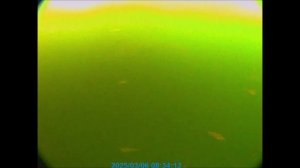 РЫБОЛОВ  ИВАНОВИЧ . ИСПЫТАНИЕ КАМЕРЫ FISHING HERO.