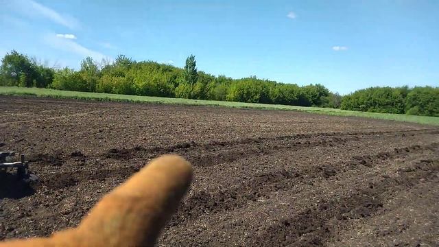 посадка тыквы самодельным культиватором смотреть онлайн