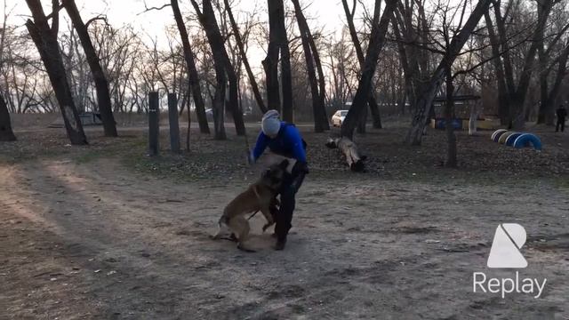 Тренинг по защите. Шуруп смотреть онлайн
