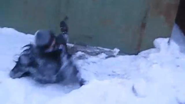 реальный кекс.wmv смотреть онлайн