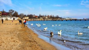 Крым Евпатория: Что сейчас с ПЛЯЖАМИ? Цены. Атмосфера. Стоит ли ехать? Крым 2025