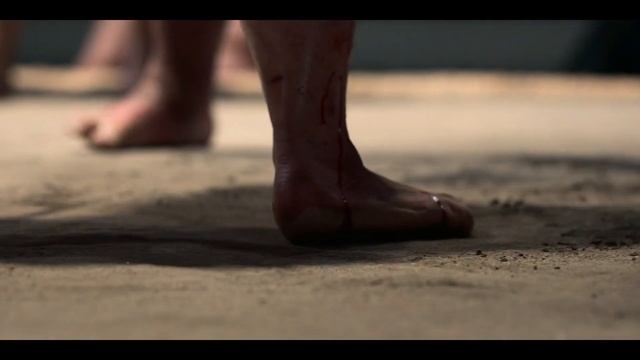 Дельфин : вопросы (версия 2). смотреть онлайн