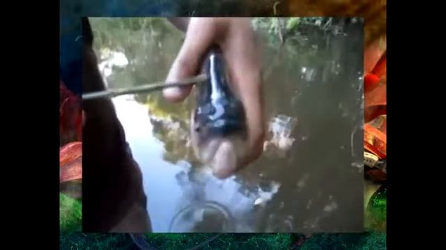 Зубы пираньи смотреть онлайн