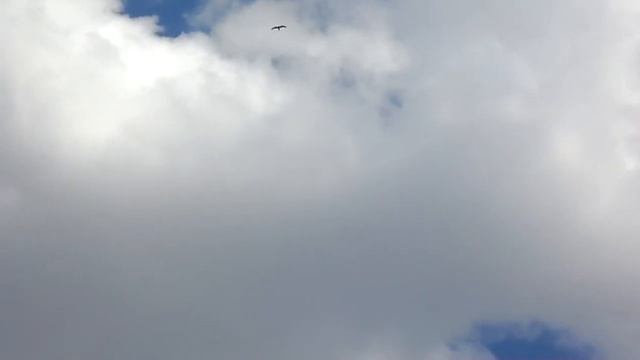 Набрасываю молодёжь и не только.8.07.18г. смотреть онлайн