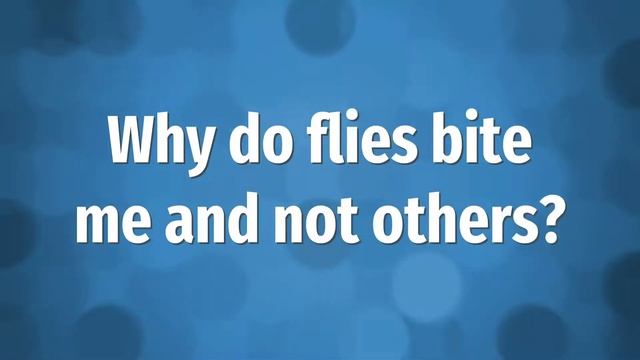 Do common house flies bite? смотреть онлайн