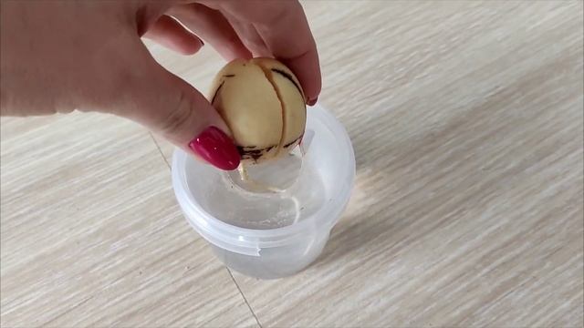 Авокадо выращенное из косточки 👉 🥑 Эти лайфхаки помогут в быстром проращивании! смотреть онлайн