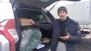 СЬЕЗДИЛИ В ГОРОД ЗА ПОКУПКАМИ