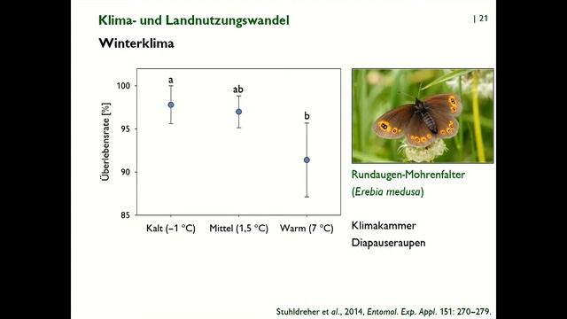 Scientists for Future Osnabrück: Auswirkungen des Klimawandels auf die Biodiversität in Mitteleurop смотреть онлайн