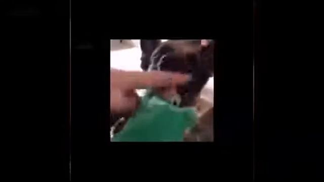 Приколы 2017 года смотреть онлайн
