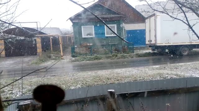 Кошки и Первый снег - 20 ноября 2024г смотреть онлайн