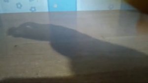 Как сделать пистолет из шарика