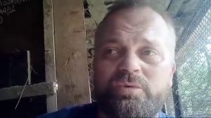 Девочки Зарубили Котенка.