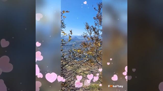 Радости дня⚘️ смотреть онлайн