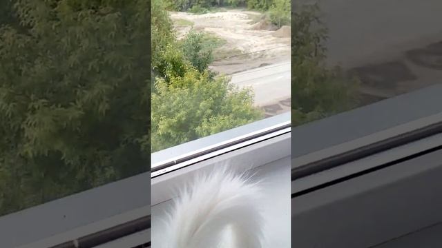 Что то взгрустнулось.... смотреть онлайн