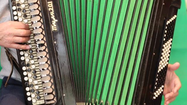 Баян Тула 201