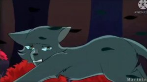 синяя звезда и мошка, кв