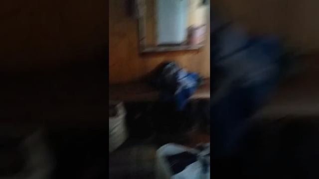 25 марта 2019 г. смотреть онлайн