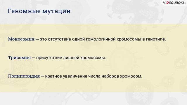 28. Мутагены и мутации. Влияние мутагенов на генофонд смотреть онлайн