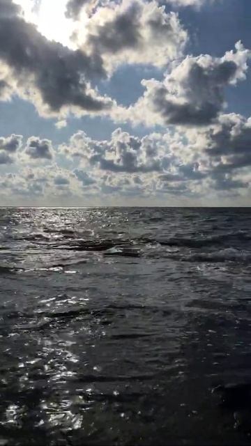 Море. Шум волн. Релакс. Звук прибоя. Чёрное море! Black Sea 🌊 Релаксация. Криница. Relax смотреть онлайн